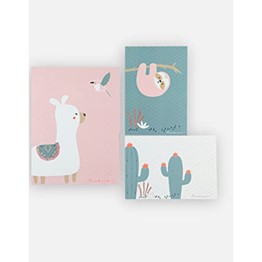 Set de 3 posters Noukies Moris et Sacha rose